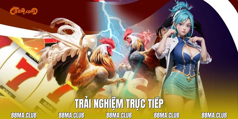 Trải nghiệm trực tiếp